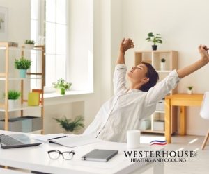 Better Indoor Air Quality with Westerhouse and products that help you breathe better at home and in the office. 